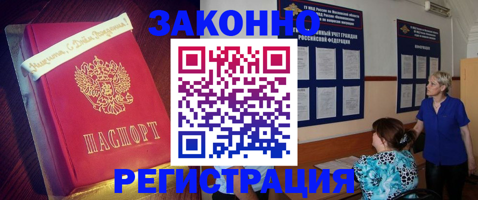 прописка поиск в Щёлково