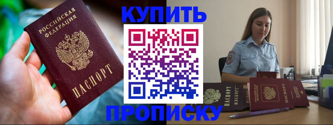 прописка законно в Щёлково